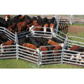 Hot! ! ! Galvanized Livestock Horse Panel/Sheep Panel/Cattle Panels